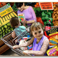 TruthToTell, Feb. 11: GMO LABELING: What We Don't Know WILL Hurt Us - AUDIO/PODCAST HERE